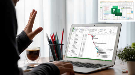 Microsoft Project 2019 Beginners