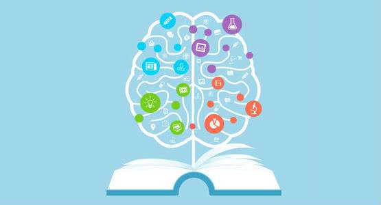 Knowledge