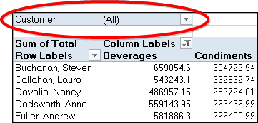 Customer field in Excel