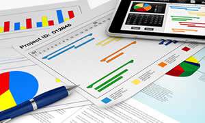 The Gantt Chart
