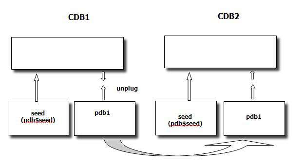 Oracle databases